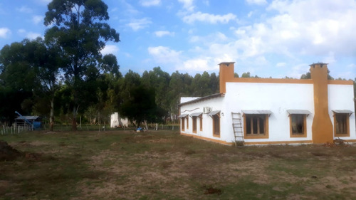 Imagen 16 de 26 de Vendo Chacra De 15 Has. Con Casa De Campo Muy Cerca Del Centro De Esquina, Corrientes!!!!!!