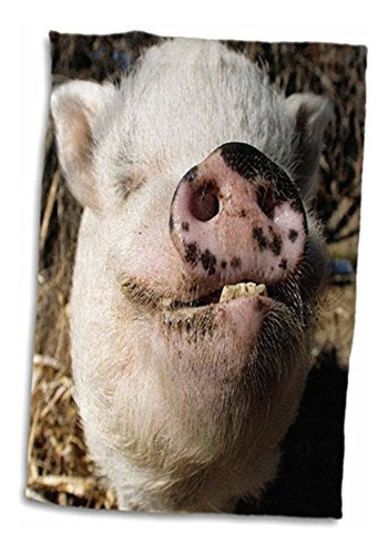 3d Rose Pet Pot Belly Pig-farm Animal-new Mexico-us32 Jmr049