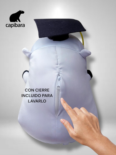 Peluche Capibara Graduado Para Firmar Dedicatorias