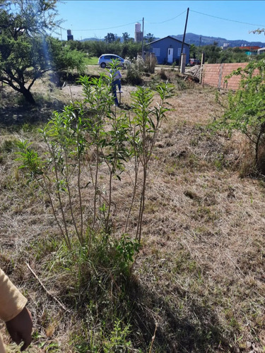 Lote Villa Mariano Moreno 17 X 30 Entre Malagueño Y La Arbol