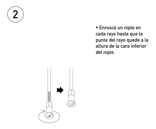 Imagen 8 de 10 de Estante Colgante Con Rayos (maceta Compra Opcional)