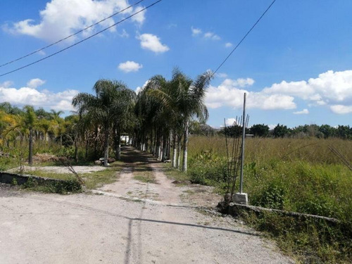 Terreno En Venta Acapatzingo