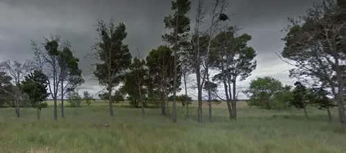Campo En Venta En General Acha