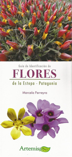 Guía De Identificación De Flores De La Estepa - Patagonia