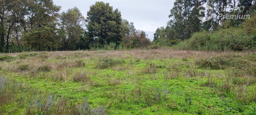Sitios En Venta En Arauco, Sector Los Patos