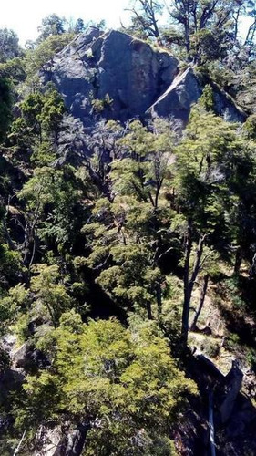 Imagen 3 de 28 de Grupo Patagonia Vende 4.2 Hectáreas (todos Los Servicios Instalados Y Costa De Arroyo). Sobre Camino A Valle Escondido -club De Campo-, San Martín De Los Andes, Patagonia Argentina
