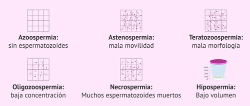 Tinción Eosina - Vitalidad Espermática 30 Ml - Caflab -
