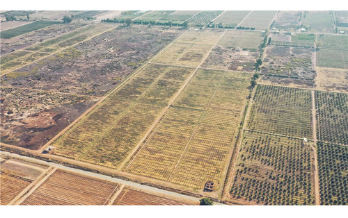 Finca De 54 Has Y 3800 M2 Has En 3 De Mayo Lavalle