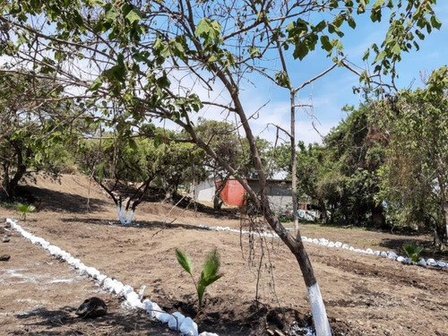 Imagen 4 de 10 de Terreno En Venta San Juan Texcalpan