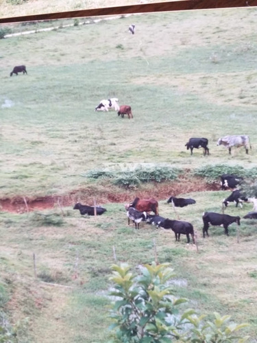 Imagem 12 de 28 de Fazenda Em Rio Preto Minas Gerais - 2044007423 - 67629041
