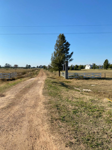 Imagen 3 de 8 de Lotes En Venta