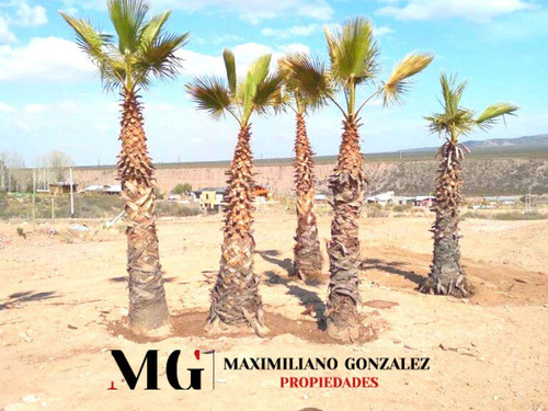 Lote En Venta Cacheuta, Mendoza
