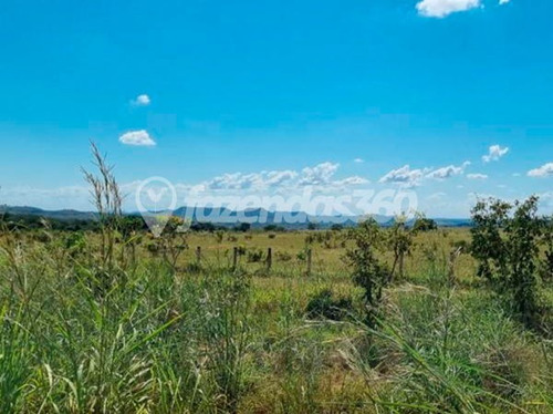 Imagem 10 de 11 de Rural Chacara Com 2 Quartos - 331-v