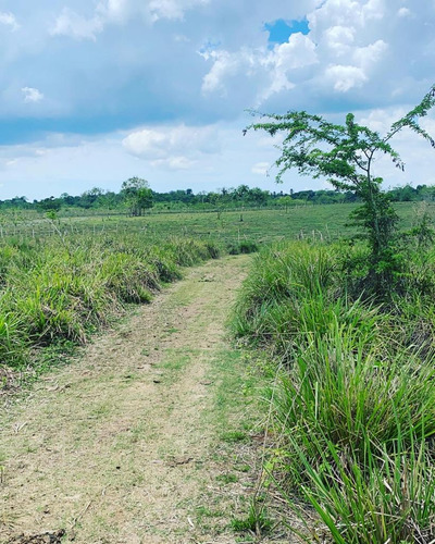 Terreno En Monte Plata 