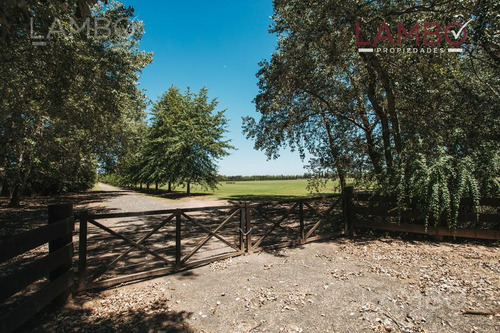 Venta Lote Pilar La Esperanza