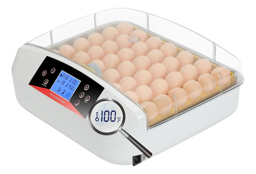 Incubadora De Giro Automático De Huevos Y Control Automático