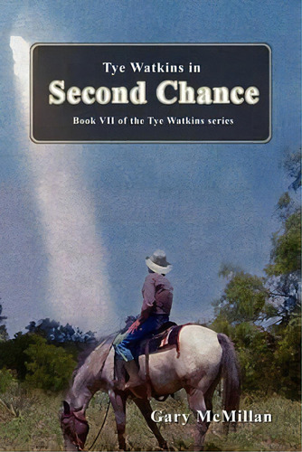 Second Chance, De Gary D Mcmillan. Editorial Authors' Discovery Cooperation, Tapa Blanda En Inglés