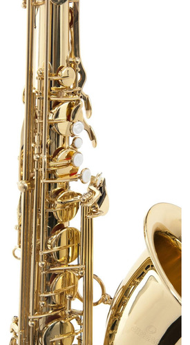 Saxofón Tenor Rousseau (high Level) - Bb Modelo Jbts-100l