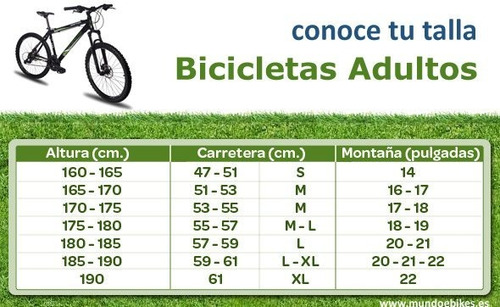 Imagen 3 de 6 de Bicicleta Bianchi Pico Alu 105 11s