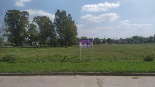 Terreno En Venta En Navarro