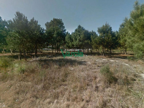Imagen 4 de 12 de Solymar Venta De Terrenos Financiados