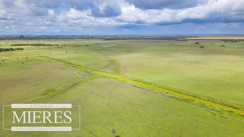 Campo En Rocha Ganadero Agrícola 125ha (ref: Atm-7988)