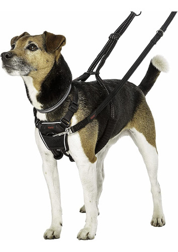 Halti - Arnés Sin Tirones Para Perros, Ideal Para Entrenamie