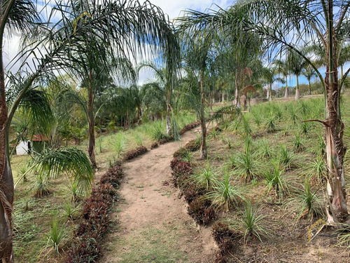 Parque Ecológico En Venta En Lencero - La Tinaja Emiliano Zapata Veracruz, Amenidades En Funcionamiento Para Inversión
