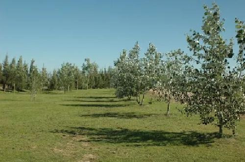 Imagen 5 de 6 de Terreno En Venta La Faustina