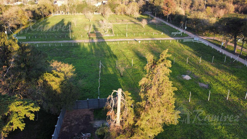 Imagen 30 de 30 de Lote Terreno En Venta 300 M2 - Parques Del Morenito, Moreno Norte