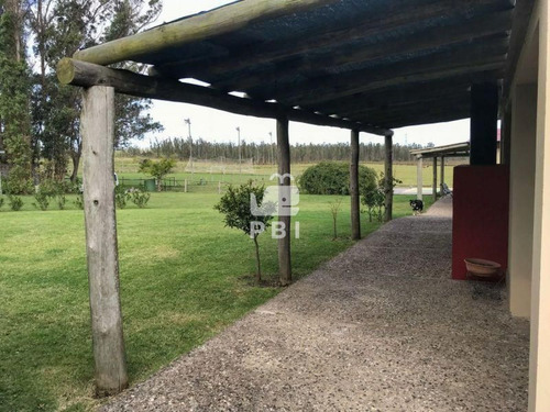 Imagen 21 de 29 de Chacra En Venta Las Vertientes 2 Dormitorios - Ref : Pbi106 - San Carlos Camino De Los Ceibos