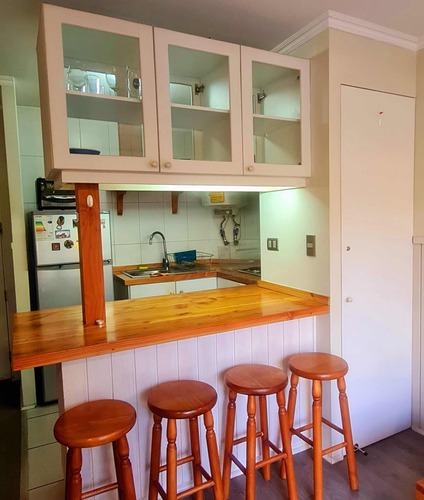 Gastos Comunes Incluidos, 1 Dormitorio, Lavadora, Amoblado.