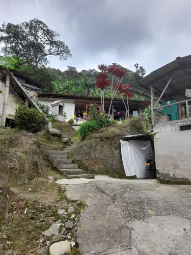 Se Vende Finca Santo Domingo Calarcá Quindío 