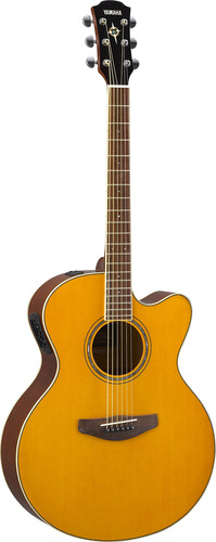 Cpx600 Vt Guitarra Electrica Tinte Vintage