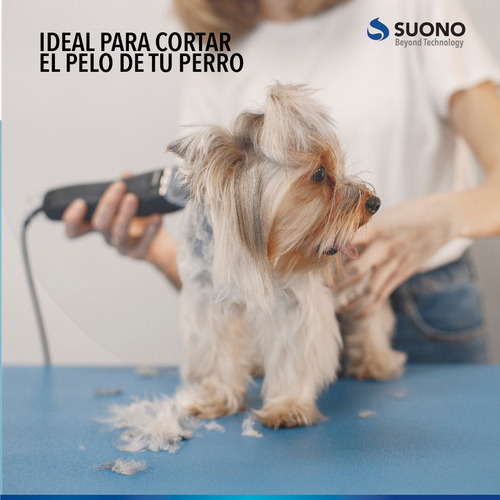 Imagen 7 de 10 de Kit Peluquería Para Mascota Con Accesorios
