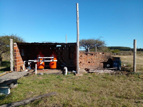 Imagen 5 de 14 de Bustamante Prop Campo Venta San Jose Colon Entre Rios