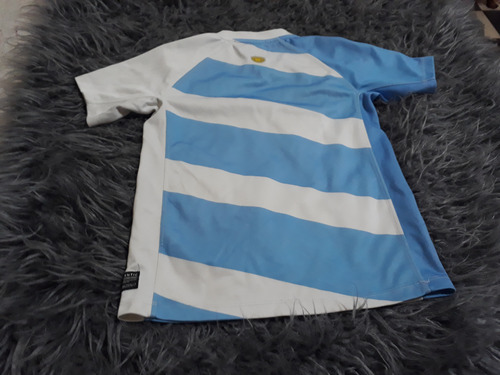 Camiseta De Los Pumas.año 2012.talle M Para Chico (Usado)