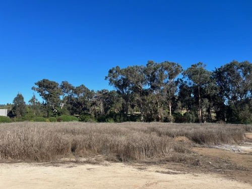 Sitio En Venta En Zapallar