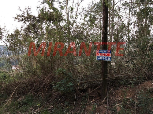 Imagem 1 de 2 de Terreno Em Serra Da Cantareira - São Paulo, Sp - 328642
