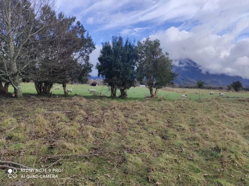 Parcela En Venta | 5.000 M² | Riñinahue - Lago Ranco
