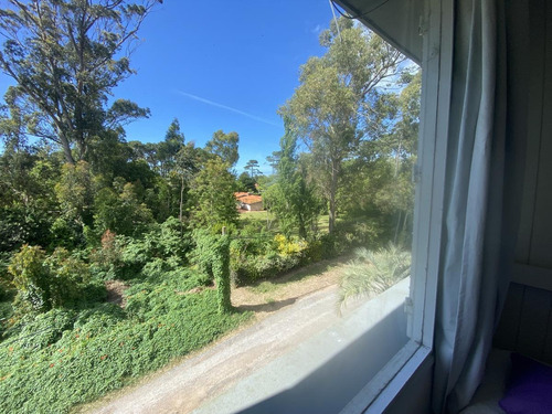 Imagen 8 de 11 de Apartamento - San Rafael