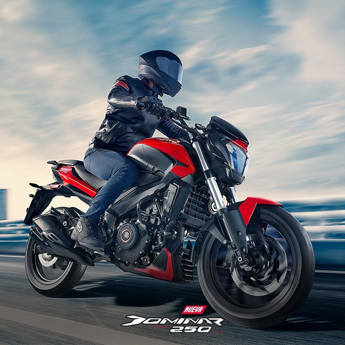 Imagen 13 de 22 de Bajaj Dominar 250 Abs 0km Ug Inyeccion