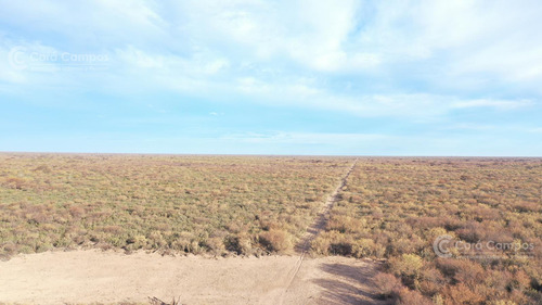 Se Vende Campo En  Ganadero Sobre Rio Diamante Norte.