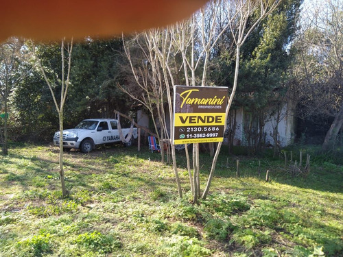 Terreno En Venta En Carlos Beguerie