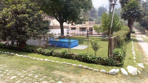 Imagen 2 de 20 de California Chaclacayo