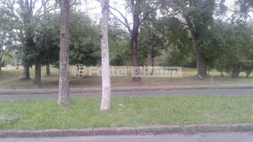 Imagem 2 de 2 de Terreno, 350 M², Morro Santana - 179404