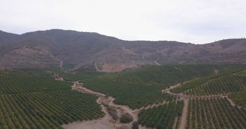 Imagen 6 de 9 de Parcelas Las Pataguas De Pucalán - Nogales - Valparaíso