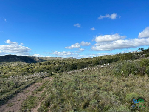 Imagen 18 de 24 de Lindo Campo Para Fraccionar, Sobre Ruta Y A Poco Mas De 1 Hora De Punta