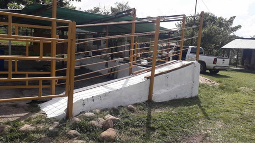 Imagen 5 de 16 de Finca Ganadera Doble Propósito Santo Domingo