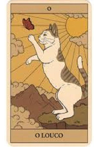 Tarô Mágico Dos Gatos Kit Divinatório Livro 80 Pag+78 Cartas